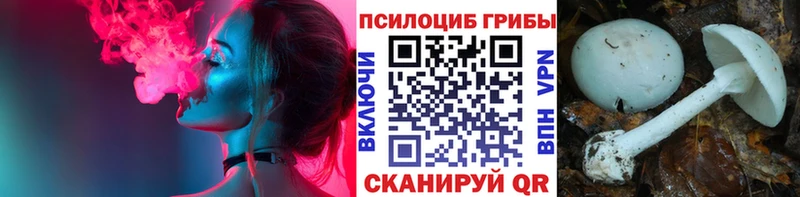 Галлюциногенные грибы Cubensis  Слюдянка 